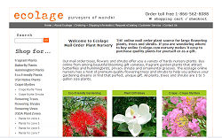 ecolage nursery - buy plants online